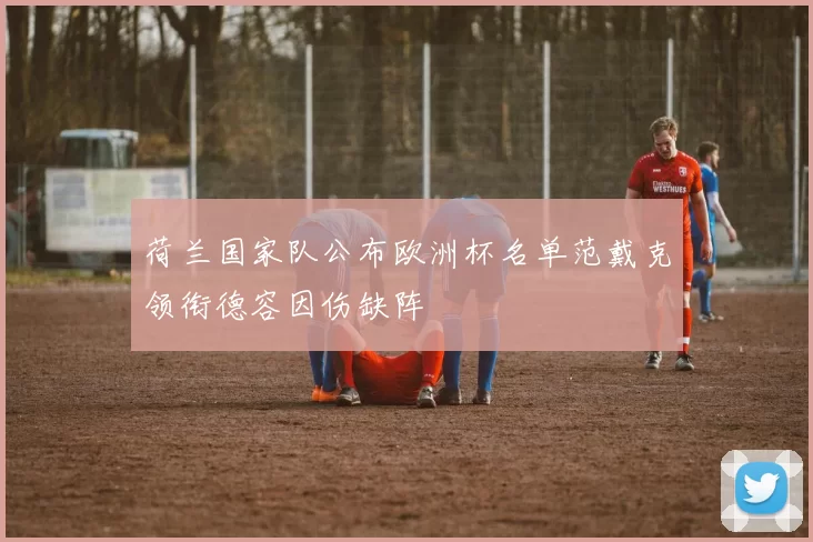 荷兰国家队公布欧洲杯名单范戴克领衔德容因伤缺阵