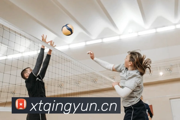 App Interface Preview