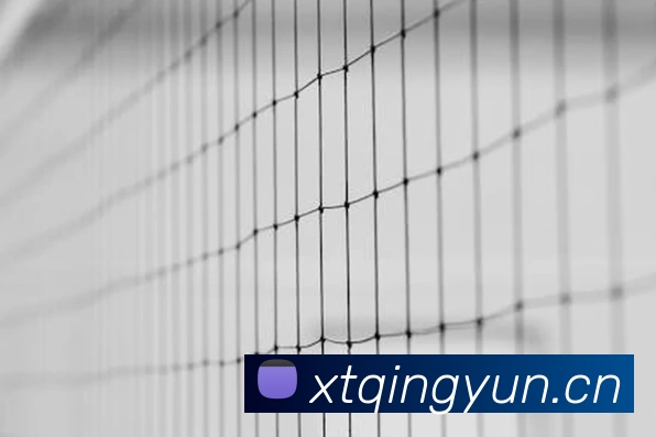 世界杯官方网络平台APP 封面图